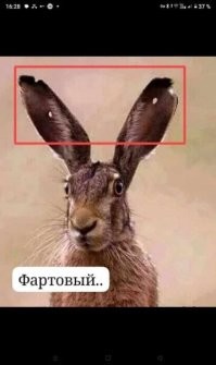 Специалисты смоделировали траекторию полёта пули в Дональда Трампа