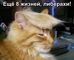 Специалисты смоделировали траекторию полёта пули в Дональда Трампа