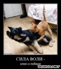 Перед прыжком