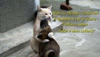 18 домашних питомцев, у которых полным-полно сюрпризов