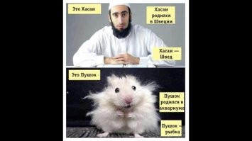 Ай-ай-ай! "Натуральных" французишек обидели