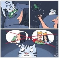 Кот принёс хозяевам музыкальный подарок