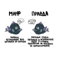 Говорим правильно - нет свидетелей нападения на человека