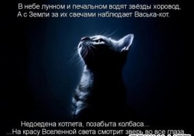 Ночная прогулка