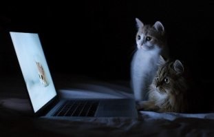 Ночная прогулка