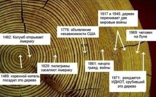 &nbsp;Намешалось&nbsp;