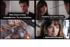 Нескромный обед собак
