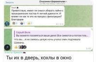 Даже если окно забить – эти мрази и через канализацию будут пытаться просочиться.