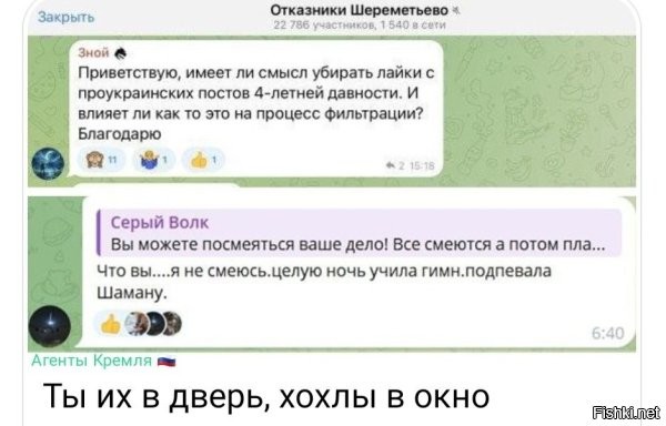 Даже если окно забить – эти мрази и через канализацию будут пытаться просочиться.