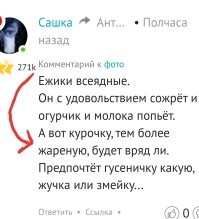 Улыбатор