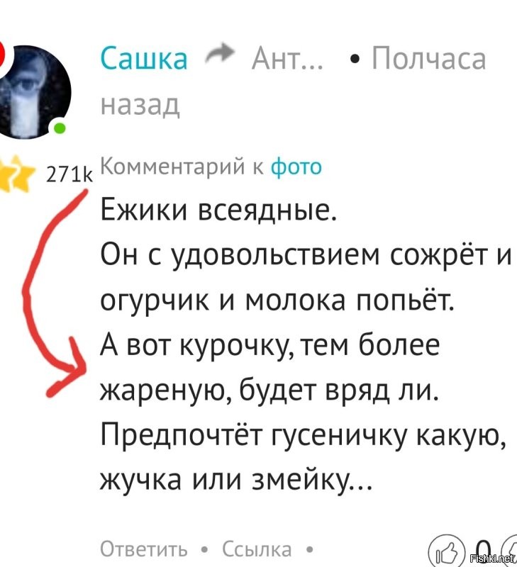 Улыбатор