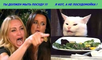 Пользователь сети показал, как выглядели бы моющие посуду коты