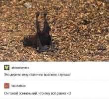 16 человек, чей день определённо начался и прошёл неважно
