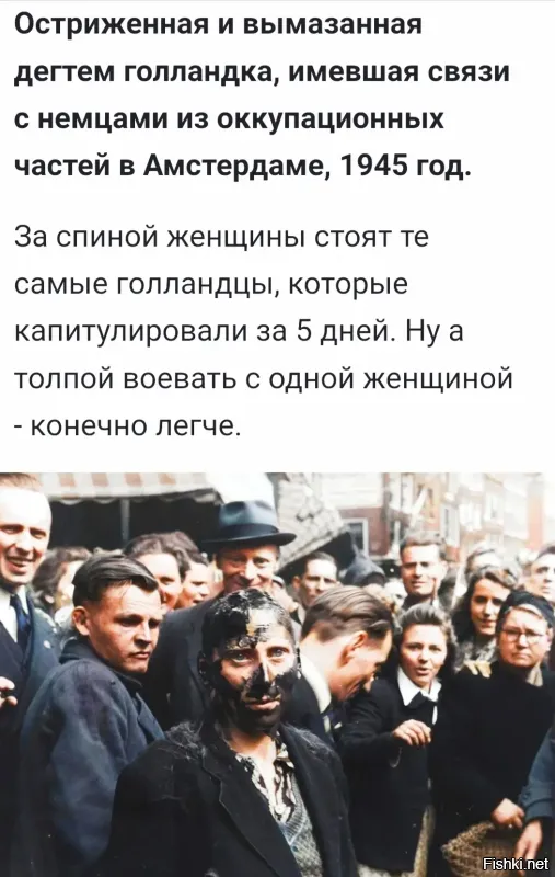 Это не только во Франции , весь Запад гнилой...