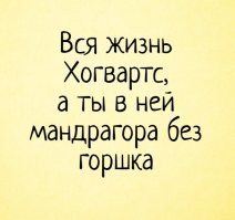Красочный справочник по существам из «Гарри Поттера»