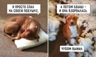 16 человек, чей день определённо начался и прошёл неважно