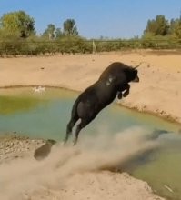 Просто гифки, всякие и&nbsp;разные
