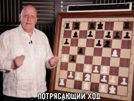 Не ищите здесь смысл. Здесь в основном маразм