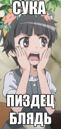 В Бразилии выловили акул-кокаинщиков