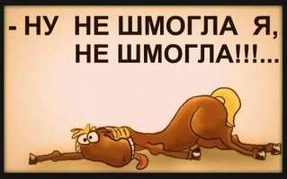 И вот тут прозвучала гениальная фраза от  Байдена: