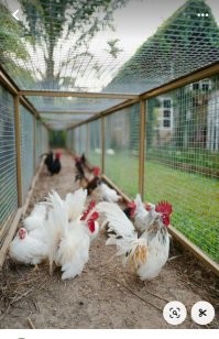 В Евросоюзе этому "изобретению" 100 лет в обед