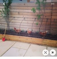 В Евросоюзе этому "изобретению" 100 лет в обед