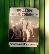 17 забавнейших случаев, когда за табличкой «Осторожно, злая собака!» скрывался сюрприз