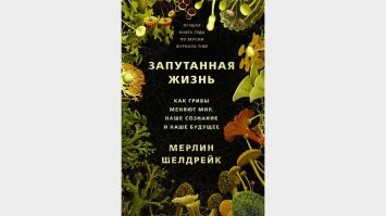 Интересная книга