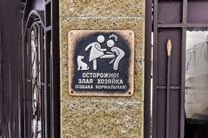 17 забавнейших случаев, когда за табличкой «Осторожно, злая собака!» скрывался сюрприз