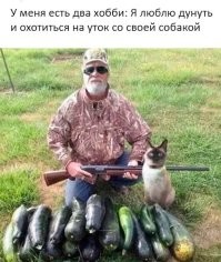 Намешалось