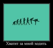 28 абсолютно реальных и очень удачных фото