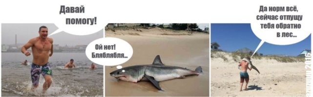 Хорошо, что не как Виталик!