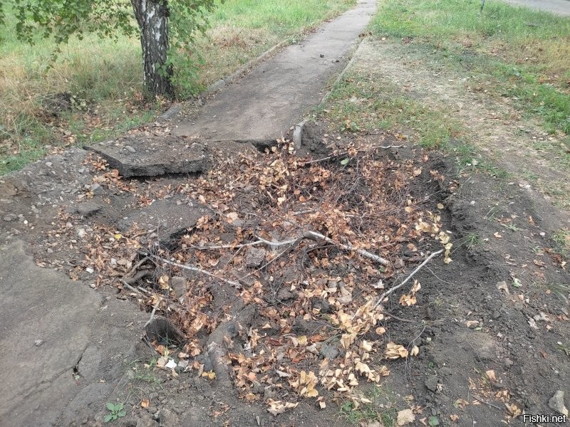 В окне ещё и трёхслойный пластик вместо стекла.Для полноты картины добавлю ещё фото. Вид из того самого окна, мостовой кран после прямого попадания ракеты "Град", пешеходная дорожка. Ремонты будем делать после того, как уйдёт опасность обстрелов.