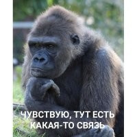 И набор для окрошки подорожал на 10%