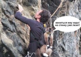 Черный кот-путешественник покоряет вершины, океаны и людские сердца