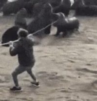 Просто гифки, всякие и&nbsp;разные