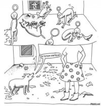 22 хвостатых хулигана, которые пытаются выглядеть после своих проделок добропорядочными котиками