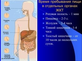 Путь в виде говна не является процессом переваривания, это процесс дефекации. 
А в картинке написано именно о переваривании, а даже не усвояемости. 

Если бы речь шла о переводе на говно, то время было бы всё равно не такое