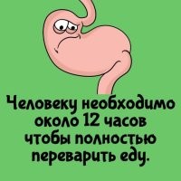 Полная херня. Всё зависит от конкретной пищи (помимо индивидуальных особенностей организма)