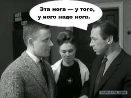Интересно, а до их начальника когда-нибудь доберутся?