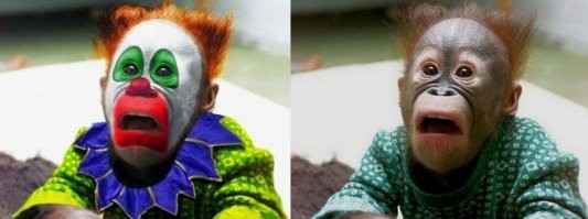 Без макияжа бы на них посмотреть, а не вот это всё...