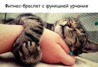 Это не фитнес-браслет – это браслет от побега. )))