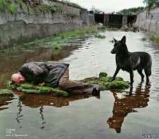 Где упал, там и люля, главное щекна покормить.