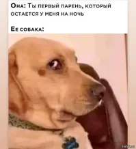 Субботний улыбатор