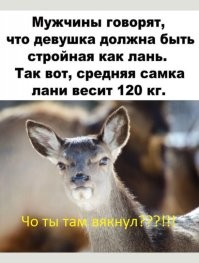 Субботний улыбатор