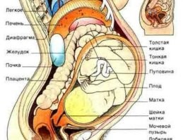 Блин! Из чего и как он стрелял, что мягкая свинцовая пулька, посте рикошета (!!!), не деформировалась (!!!), пробила кожу, подкожный жир, мышцы пресса и т.д матери и только после этого пробила кожу плода? 
И при этом, "опасности для жизни и здоровья мамы и ребёнка никакой не было, показаний для экстренной хирургической помощи тоже". 
Ага, сквозная дырка в организме матери, и никаких проблем, помощь не требуется. 

Странная фигня, если честно.