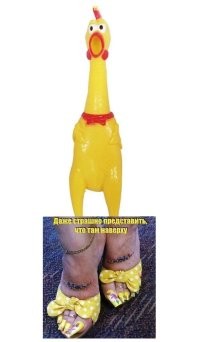 Субботний улыбатор