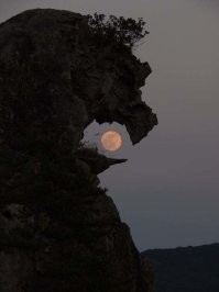 Там где-то недалеко должны быть пиратские сокровища спрятаны...