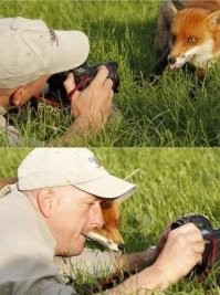 25 странных и редких объектов, пойманных фотокамерой