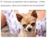 Кстати, очень интересно следить в фильмах или телепередачах (да и в рекламе тоже), за отдельными членами массовки. Просто выбираете кого-то одного/одну и следите только за ним.